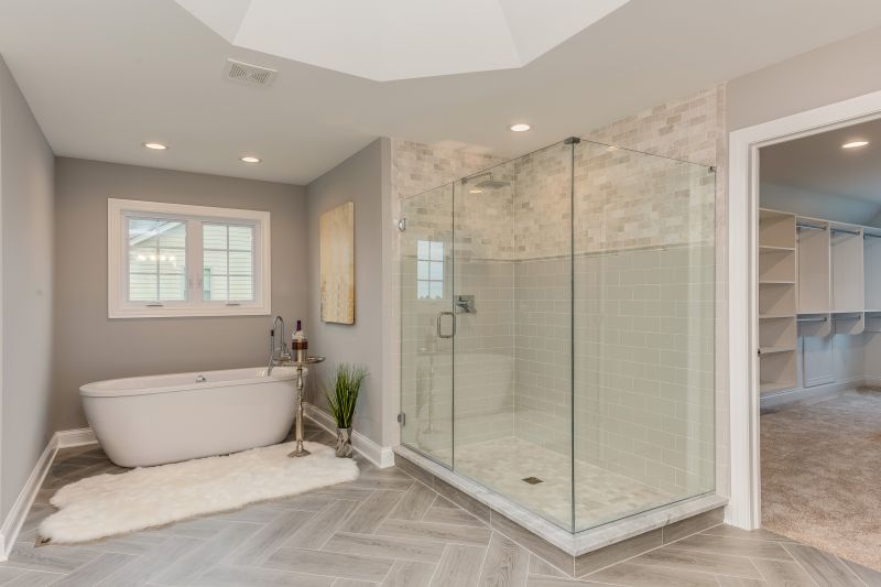 Glass Shower Bathtub